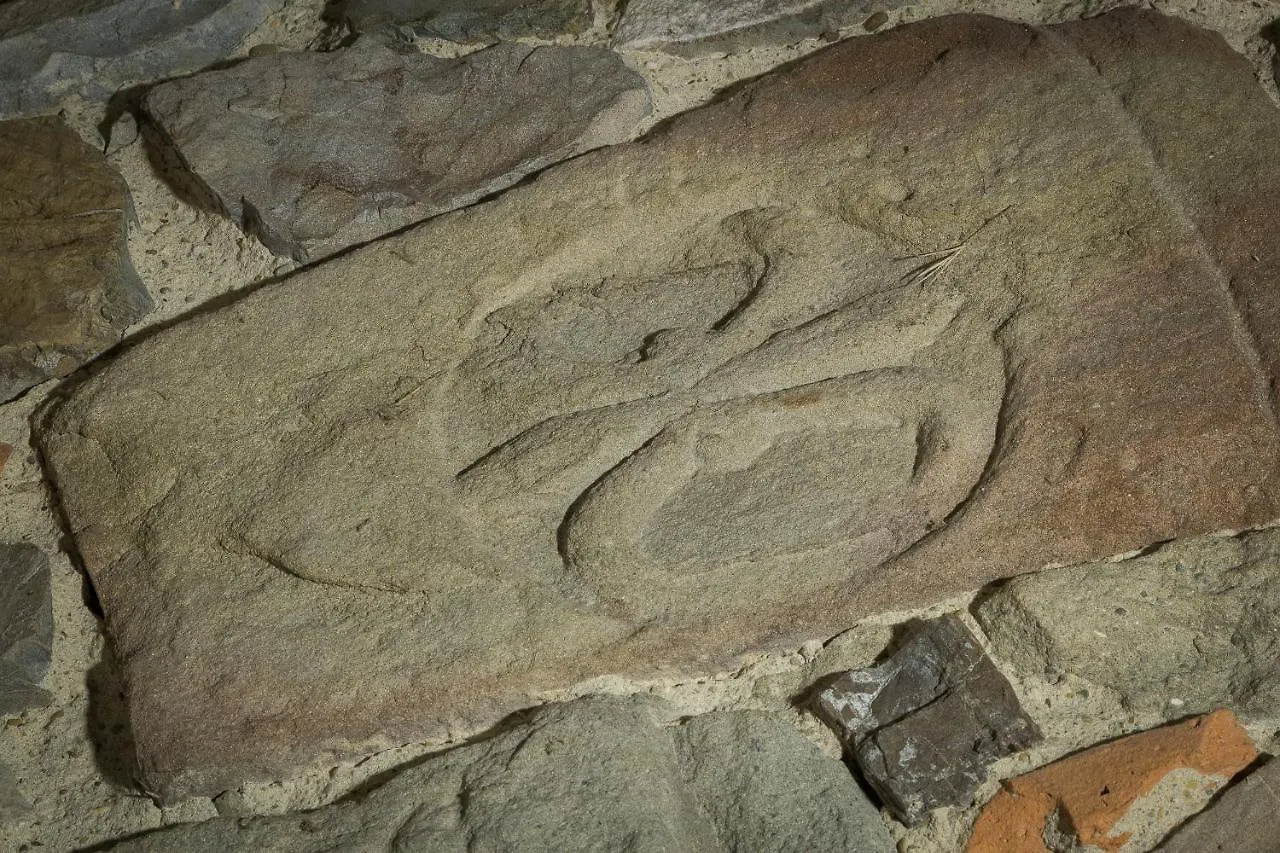 Al Poderuzzo Castelnuovo de' Sabbioni 0*,  Italy