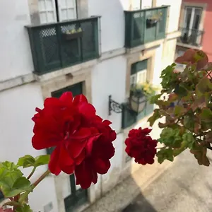 In The Heart Of Appartamento Lisbona